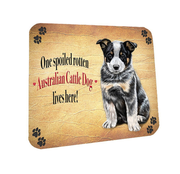 Spoiled Rotten Australian Cattle Dog Puppy Dog Coasters Set of 4