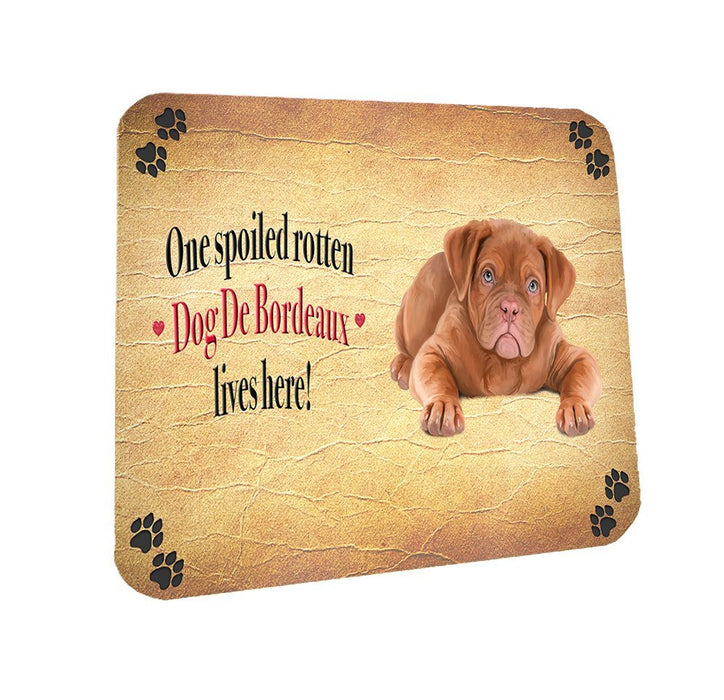 Spoiled Rotten Dog De Bordeaux Coasters Set of 4