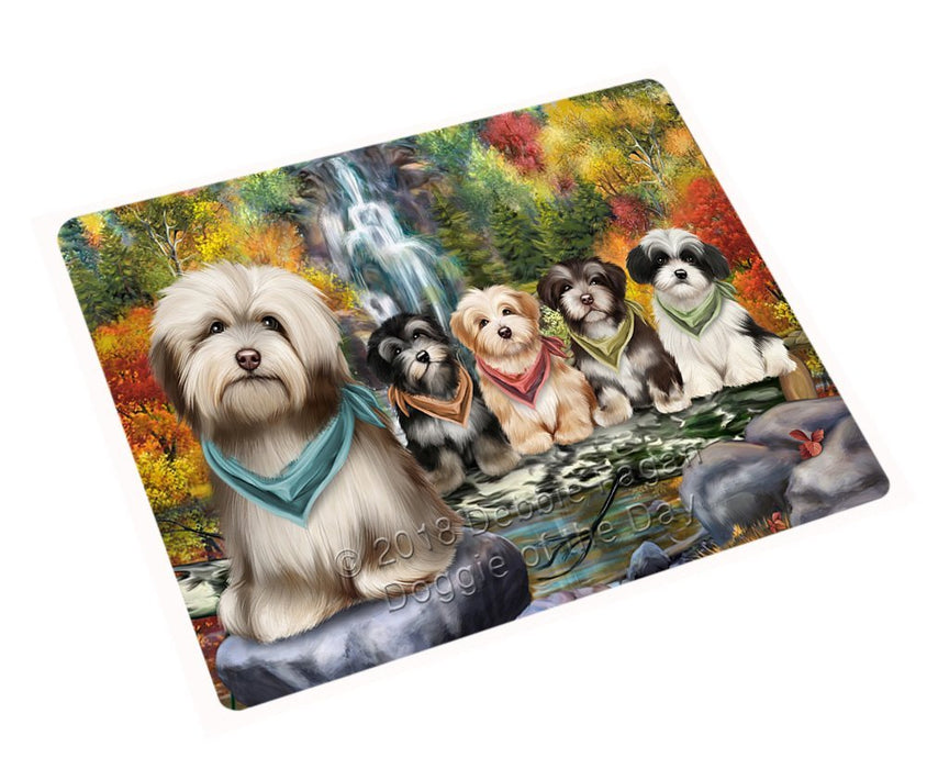 Scenic Waterfall Havanese Dogs Tempered Cutting Board C52188