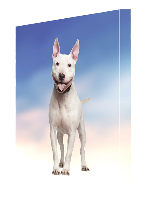 Staffordshire Bull Terrier Dog Canvas