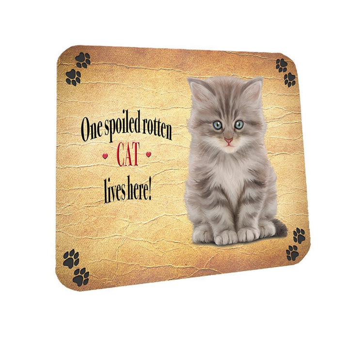 Spoiled Rotten Grey Kitty Cat Coasters Set of 4