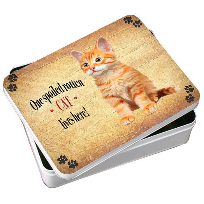 Tabby Orange Spoiled Rotten Cat Photo Storage Tin