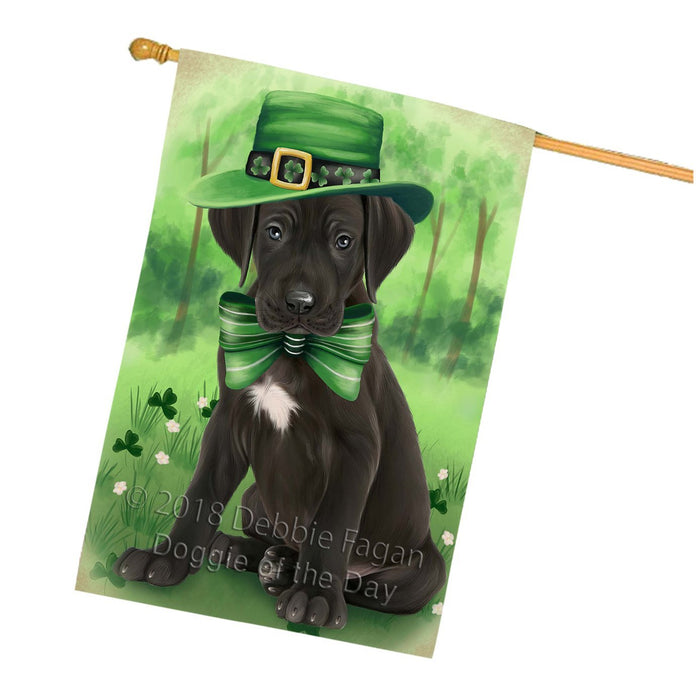 St. Patricks Day Irish Portrait Great Dane Dog House Flag FLG48776