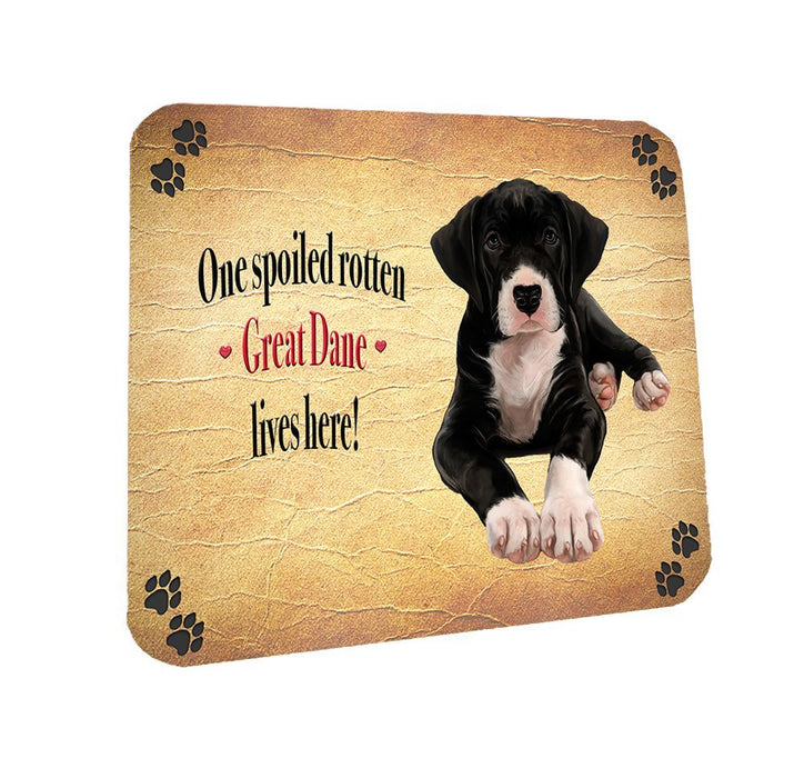 Spoiled Rotten Great Dane Dog Coasters Set of 4