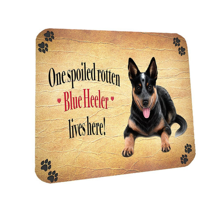 Spoiled Rotten Blue Heeler Dog Coasters Set of 4