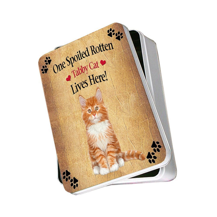 Tabby Spoiled Rotten Cat Photo Storage Tin