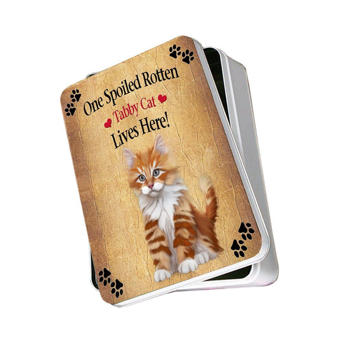 Tabby Spoiled Rotten Cat Photo Storage Tin