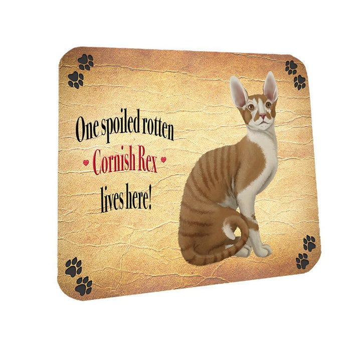 Spoiled Rotten Cornish Rex Cat Coasters Set of 4