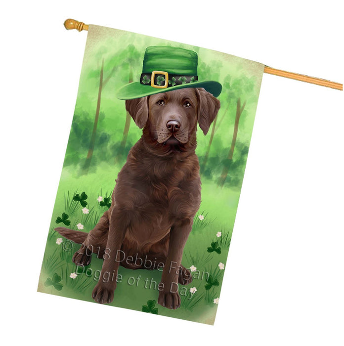 St. Patricks Day Irish Portrait Chesapeake Bay Retriever Dog House Flag FLG48734