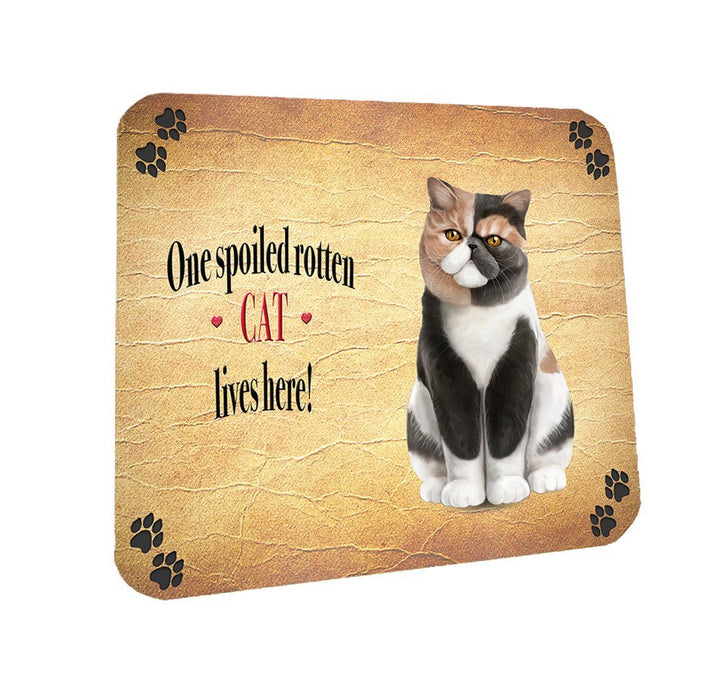 Spoiled Rotten Exotic Shorthair Cat Coasters Set of 4