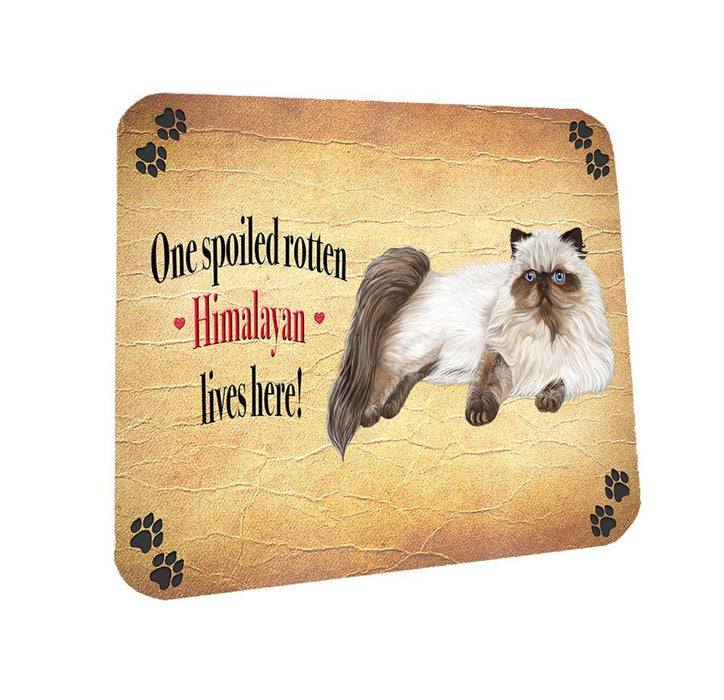 Spoiled Rotten Himalayan Cat Coasters Set of 4