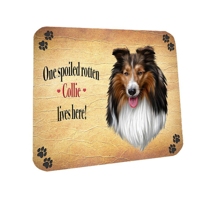Spoiled Rotten Collie Dog Coasters Set of 4