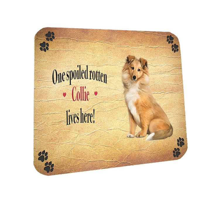 Spoiled Rotten Collie Dog Coasters Set of 4