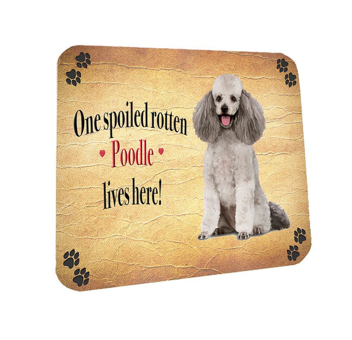 Spoiled Rotten Poodle Dog Coasters Set of 4