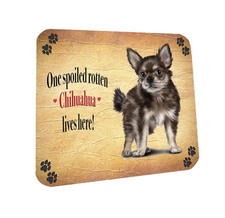 Spoiled Rotten Chihuahua Puppy Dog Coasters Set of 4