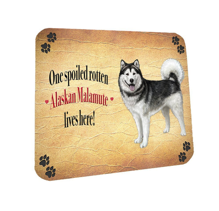 Spoiled Rotten Alaskan Malamute Dog Coasters Set of 4