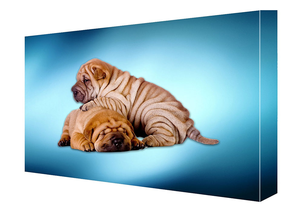 Shar Pei Canvas 18 x 24