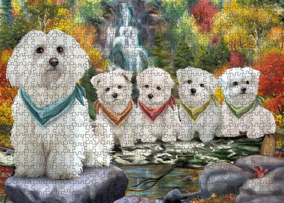 Scenic Waterfall Malteses Dog Puzzle with Photo Tin PUZL52242