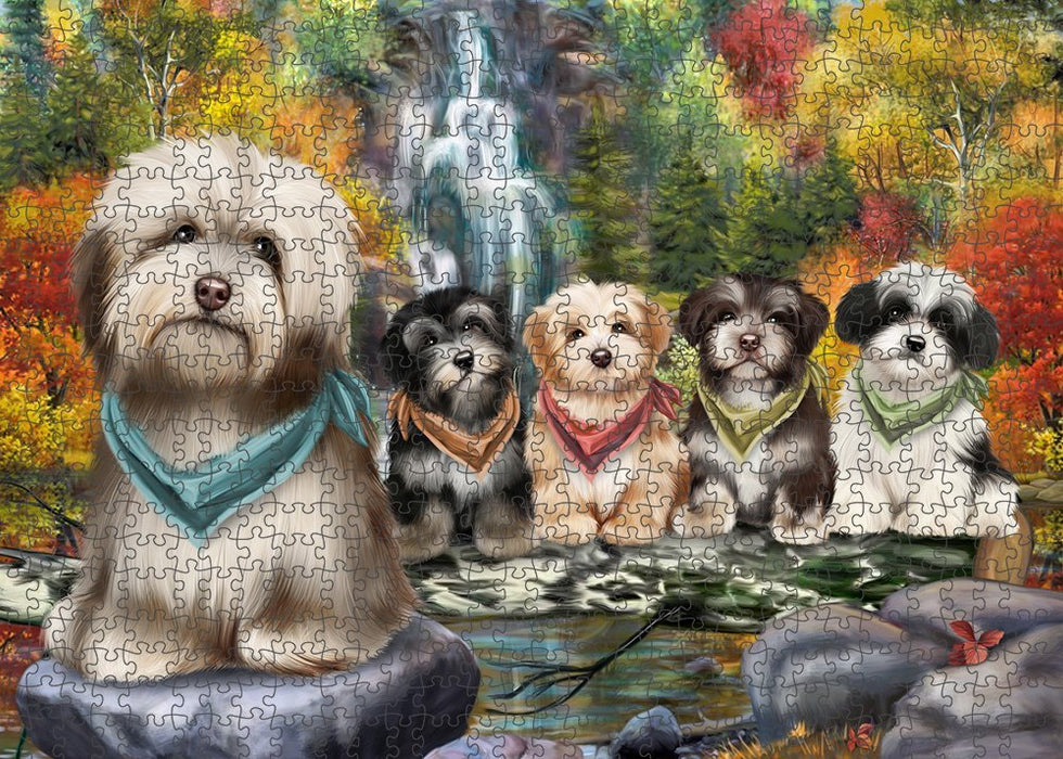 Scenic Waterfall Havanese Dogs Puzzle with Photo Tin PUZL52206