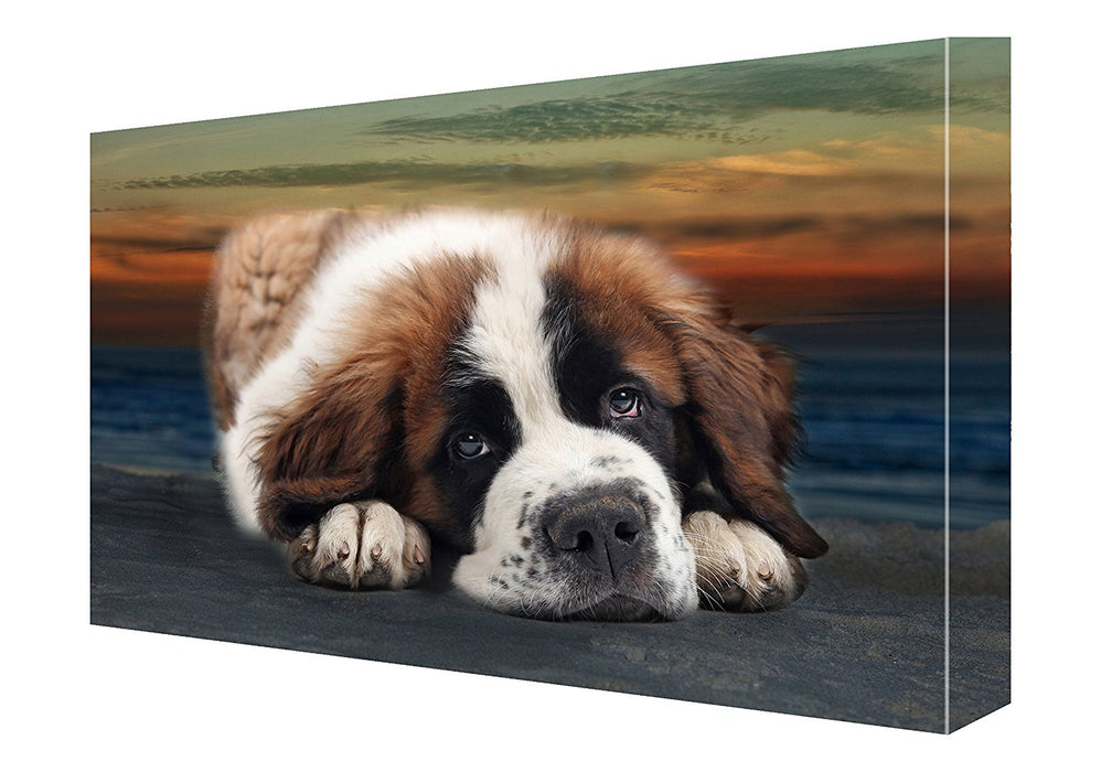 Saint Bernard Puppy Dog Canvas 18 X 24