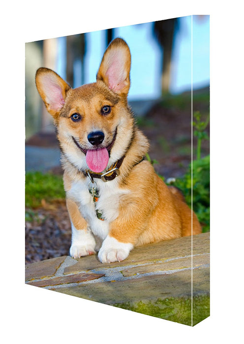 Welsh Corgi Canvas 18 x 24