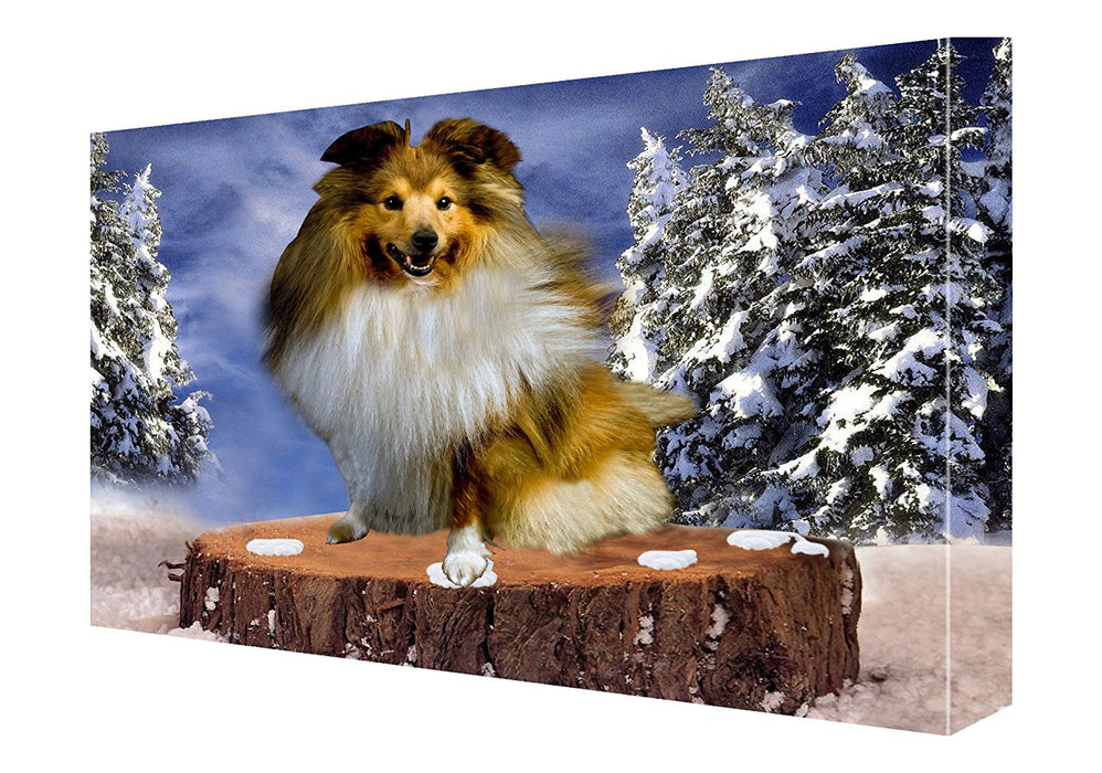 Shetland Sheepdog Canvas 18 x 24