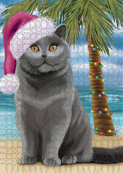 Summertime British Shorthair Cat on Beach Christmas Puzzle with Photo Tin PUZL1185