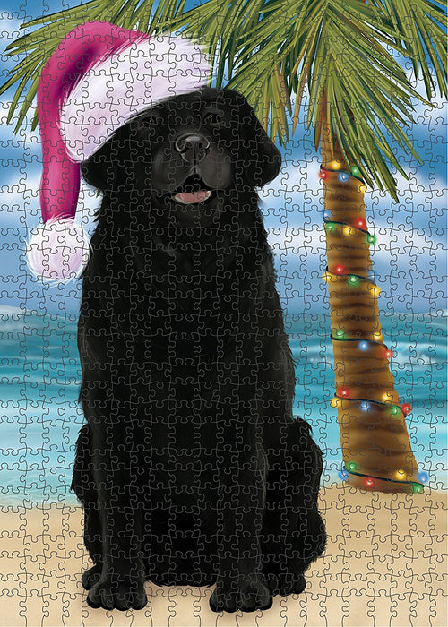 Summertime Labrador Dog on Beach Christmas Puzzle with Photo Tin PUZL1293