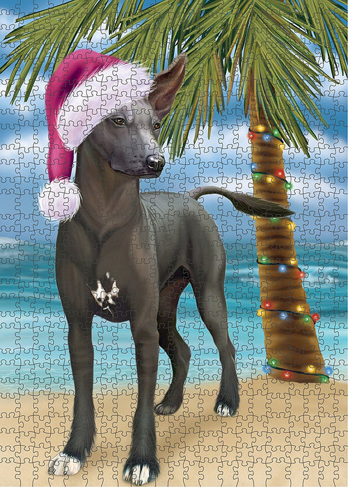 Summertime Xoloitzcuintli Mexican Haireless Dog on Beach Christmas Puzzle with Photo Tin PUZL1416
