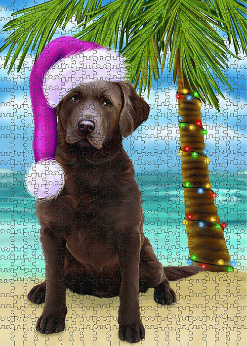 Summertime Chesapeake Bay Retriever Adult Dog on Beach Christmas Puzzle with Photo Tin PUZL1212