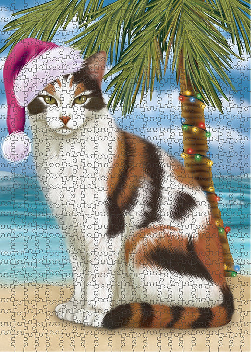 Summertime Calico Cat on Beach Christmas Puzzle with Photo Tin PUZL203