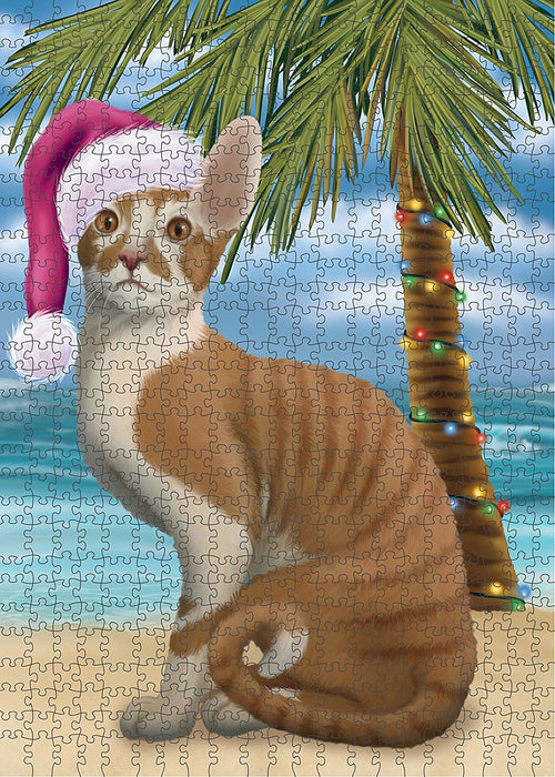 Summertime Cornish Rex Cat on Beach Christmas Puzzle with Photo Tin PUZL1239