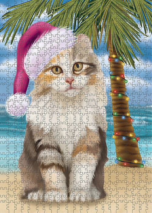 Summertime American Curl Cat on Beach Christmas Puzzle with Photo Tin PUZL1107