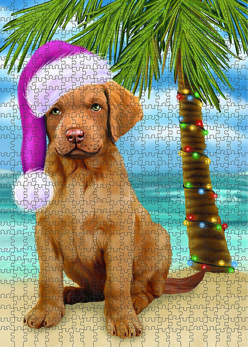 Summertime Chesapeake Bay Retriever Puppy on Beach Christmas Puzzle with Photo Tin PUZL1215