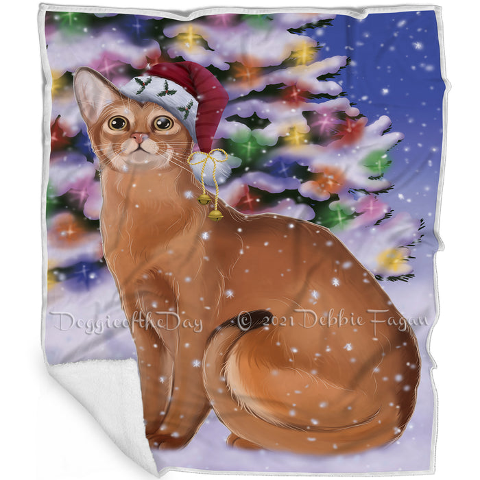 Winterland Wonderland Abyssinian Cat In Christmas Holiday Scenic Background Blanket BLNKT120486
