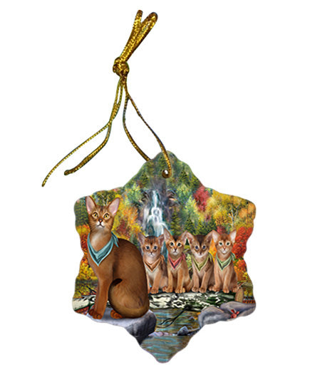 Scenic Waterfall Abyssinian Cats Star Porcelain Ornament SPOR54777