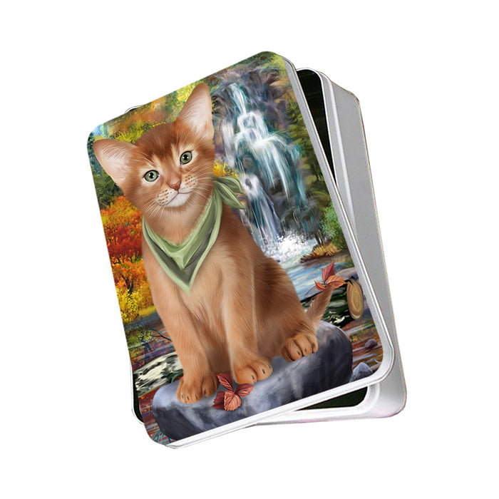 Scenic Waterfall Abyssinian Cat Photo Storage Tin PITN54602