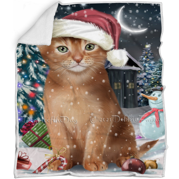 Have a Holly Jolly Christmas Happy Holidays Abyssinian Cat Blanket BLNKT105438