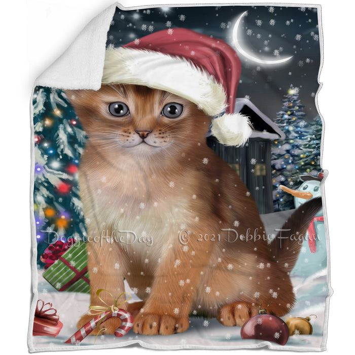Have a Holly Jolly Christmas Happy Holidays Abyssinian Cat Blanket BLNKT105447