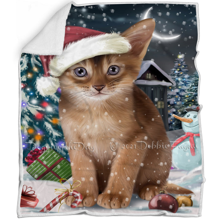 Have a Holly Jolly Christmas Happy Holidays Abyssinian Cat Blanket BLNKT105456