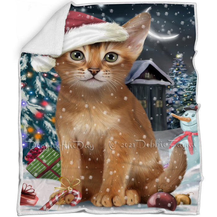 Have a Holly Jolly Christmas Happy Holidays Abyssinian Cat Blanket BLNKT105465