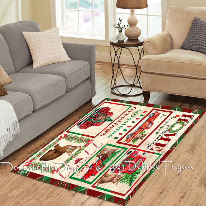 Welcome Home for Christmas Holidays Abyssinian Cats Polyester Living Room Carpet Area Rug ARUG64570