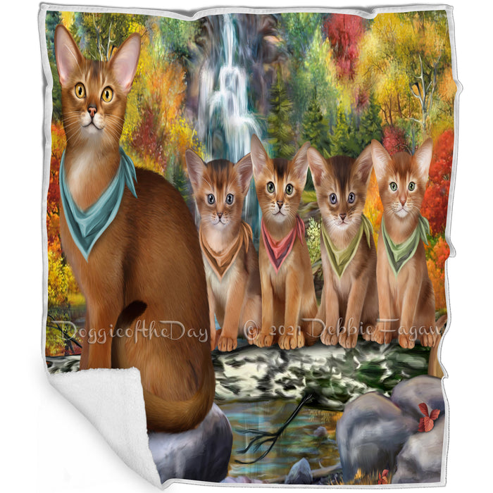 Scenic Waterfall Abyssinian Cats Blanket BLNKT110415