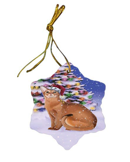 Winterland Wonderland Abyssinian Cat In Christmas Holiday Scenic Background Star Porcelain Ornament SPOR56030
