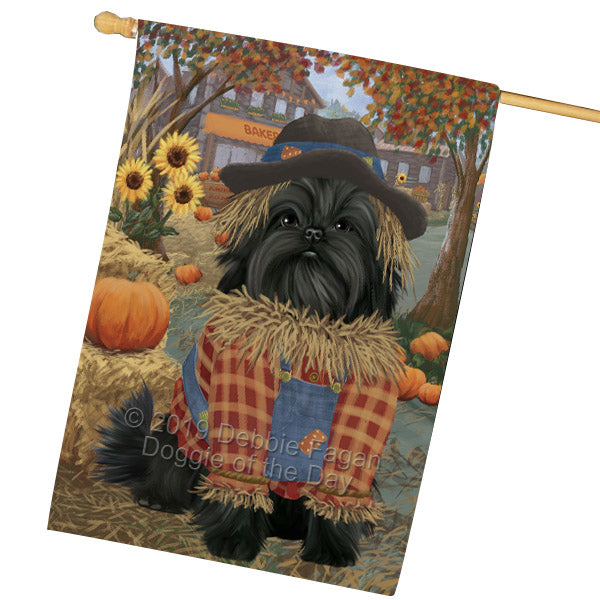 Halloween 'Round Town And Fall Pumpkin Scarecrow Both Affenpinscher Dogs House Flag FLG65672