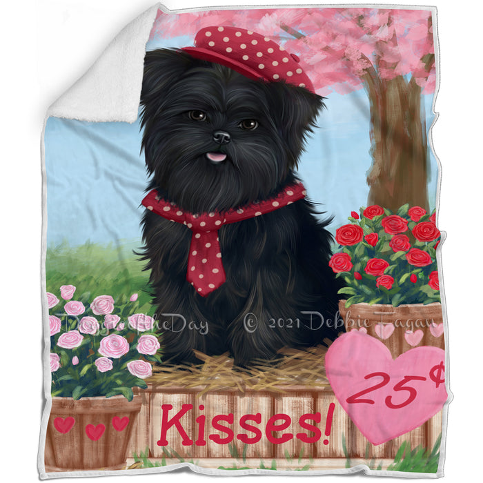 Rosie 25 Cent Kisses Affenpinscher Dog Blanket BLNKT121161