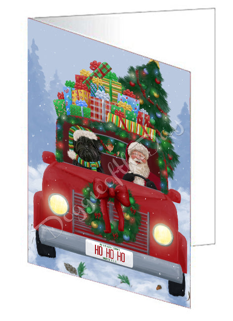 Christmas Honk Honk Red Truck Here Comes with Santa and Affenpinscher Dog Handmade Artwork Assorted Pets Greeting Cards and Note Cards with Envelopes for All Occasions and Holiday Seasons GCD75446