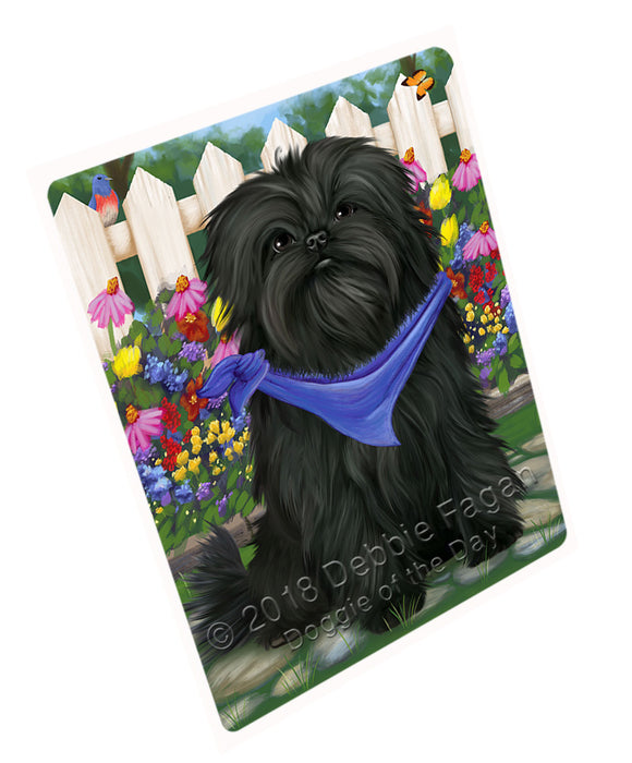 Spring Floral Affenpinscher Dog Blanket BLNKT63336