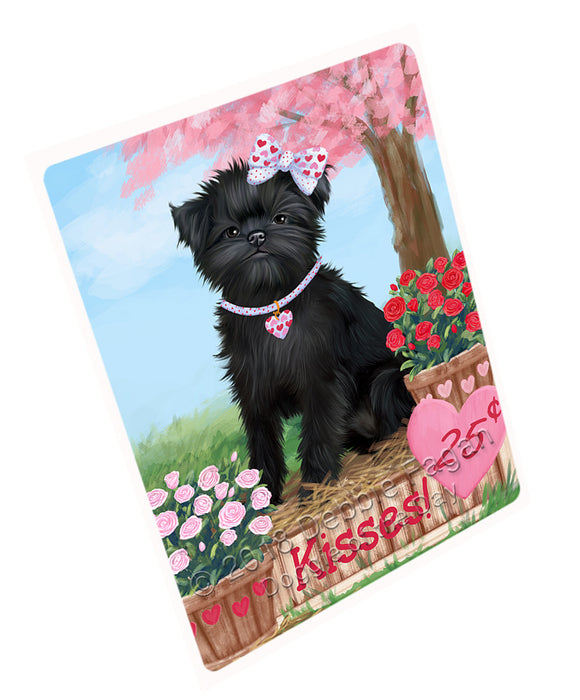 Rosie 25 Cent Kisses Affenpinscher Dog Magnet MAG72381 (Small 5.5" x 4.25")
