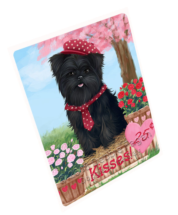Rosie 25 Cent Kisses Affenpinscher Dog Magnet MAG72384 (Small 5.5" x 4.25")